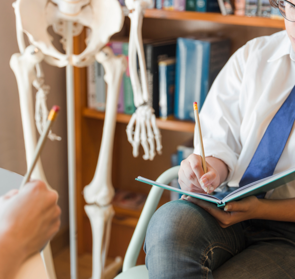 Rheumatology student studying with a skeletal anatomy model